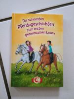 Leselöwen  Pferde Pferdegeschichten zum gemeinsamen  Lesen Duisburg - Rumeln-Kaldenhausen Vorschau