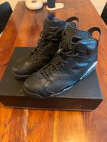 Nike Air Jordan Retro 6 Black Cat 42,5 US 9 2016 Hessen - Marburg Vorschau
