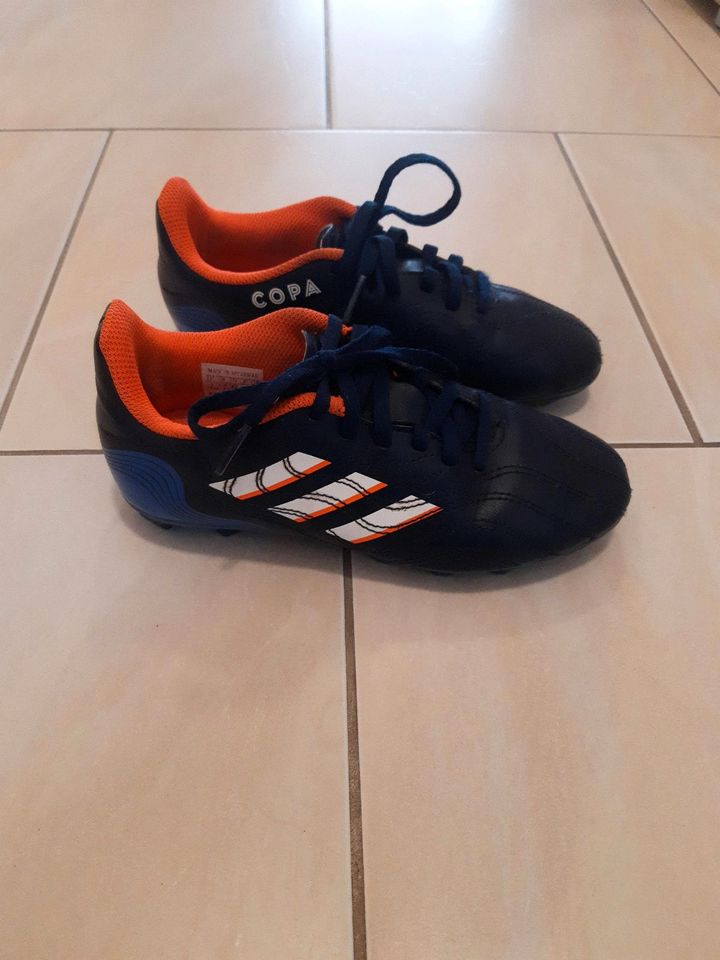 Kinder Fussballschuhe in Seelze