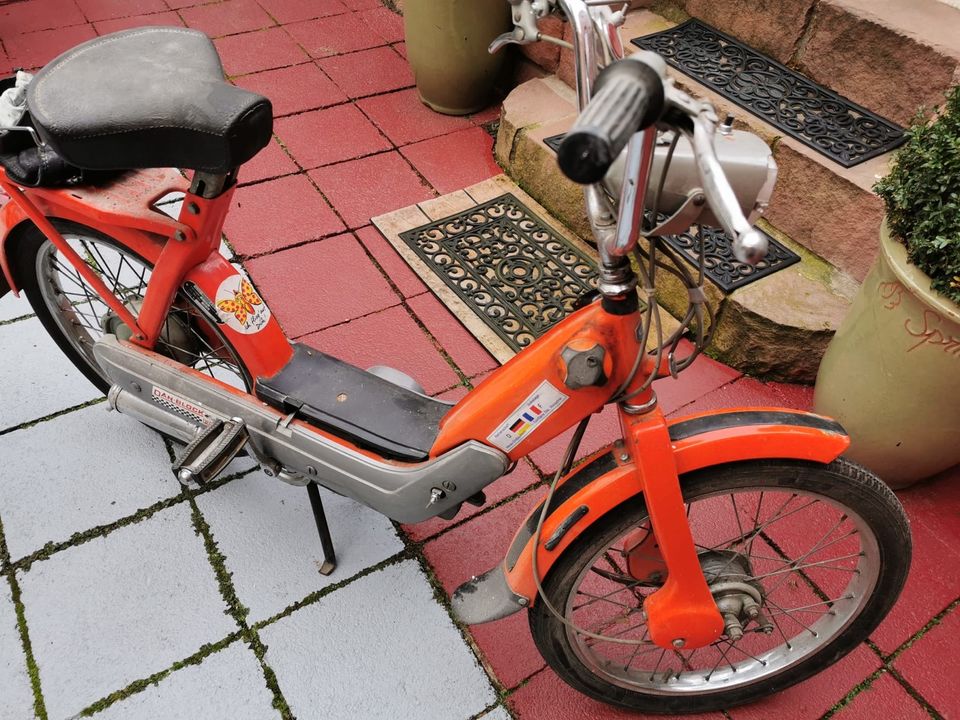 Piaggio Mofa 25 Typ CIAO von 1975 in Hanau