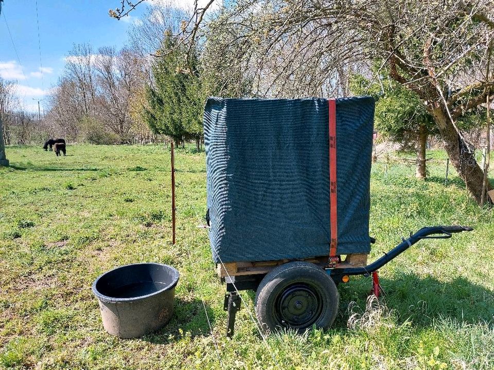 Hülle Haube IBC Wassertank Tank Container Wasserfass Gartenfass in Apolda