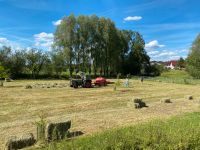 Kleine Heuballen übrig Thüringen - Hildburghausen Vorschau