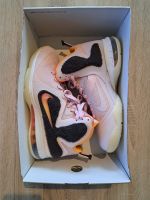 Nike / Le Bron IX / "Regal Pink" / DJ3908-600 / Gr. 43 Sachsen-Anhalt - Magdeburg Vorschau
