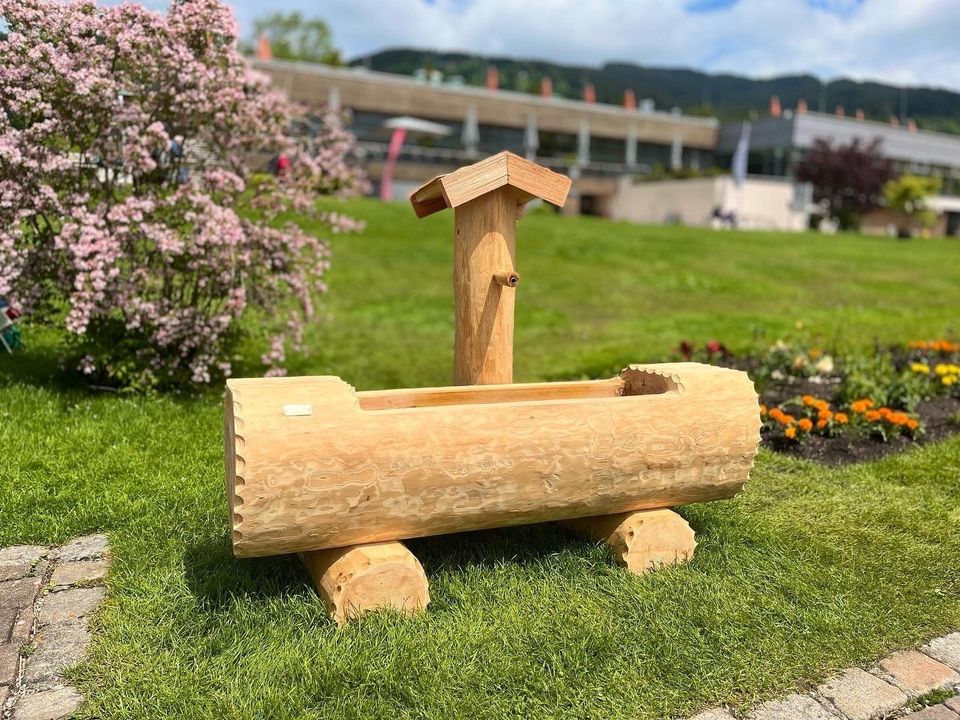 Holzbrunnen Baumstammbrunnen Holztrog Wassertrog Blumentrog in Schliersee