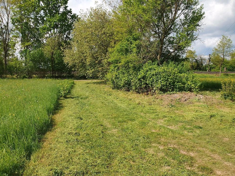 Wiese mähen Lohnarbeit Rasen mähen in Karlstein