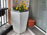 ! Pflanzkübel Blumensäule Blumentopf Pflanzschale Keramik Pflanze Berlin - Tempelhof Vorschau