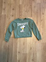 Pullover Snoopy 134/140 Brandenburg - Geltow Vorschau