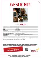 Merlin wird vermisst . . . Nordrhein-Westfalen - Inden Vorschau