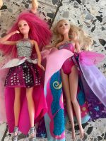 Barbie singt links rechts schmefteelin barbie Niedersachsen - Salzgitter Vorschau