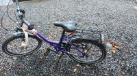 Kinderfahrrad 20 Zoll / lila Eimsbüttel - Hamburg Niendorf Vorschau