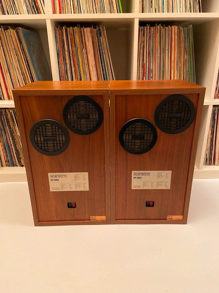 SCANSONIC P 30 Lautsprecher Speakers Hi Fi ScanSpeak Dänemark in Berlin