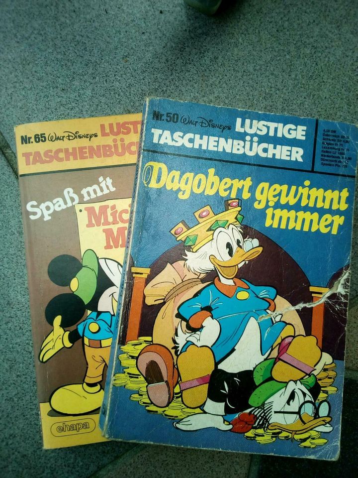 Comics Donald Duck, Biene Maja, Lustige Taschenbücher in Roxel