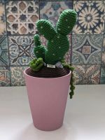 Dekorativer Kaktus Dekoration gehäkelter Kaktus Höhe ca. 33 cm Thüringen - Nobitz Vorschau