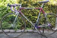 Rennrad Colnago Decor - Campagnolo - Ambrosio - Sammlerstück Nordrhein-Westfalen - Herford Vorschau