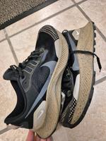 Nike Pegasus Laufschuhe Baden-Württemberg - Neulußheim Vorschau