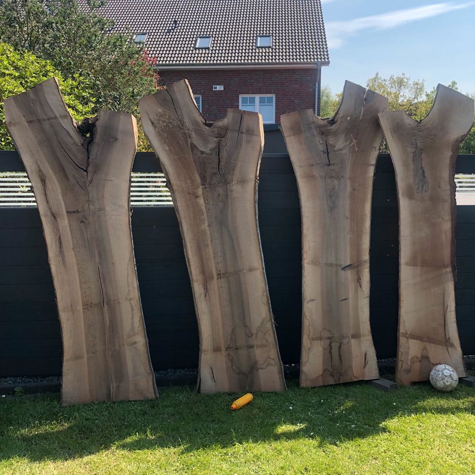 Walnuss Bohlen Walnussbaum Tisch Epoxidharz in Emden