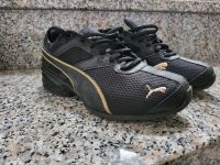 Schuhe in 37 von Puma Hessen - Niddatal Vorschau