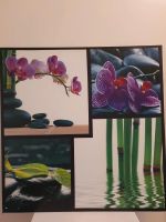 Leinwand Bild Orchidee 60x60 cm Berlin - Friedrichsfelde Vorschau