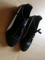 Puma Hallen Fussball Schuhe Gr. 39 schwarz Nordrhein-Westfalen - Menden Vorschau