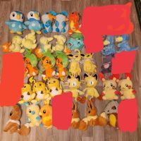 Pokémon Plüschtier Stofftier Kuscheltier Kinderspielzeug Nordrhein-Westfalen - Beelen Vorschau