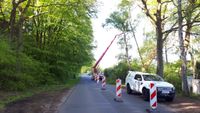 ❗️ Baumpflege mit Hubsteiger ❗️ Kreis Pinneberg - Quickborn Vorschau
