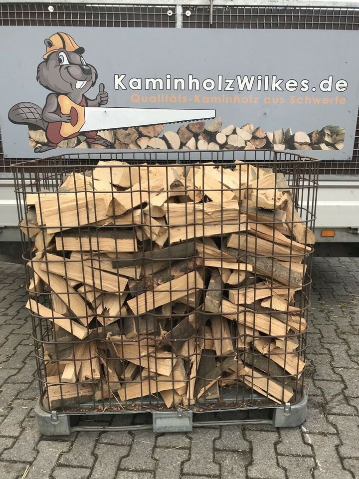 Kaminholz Brennholz Scheitholz TROCKEN in Dortmund