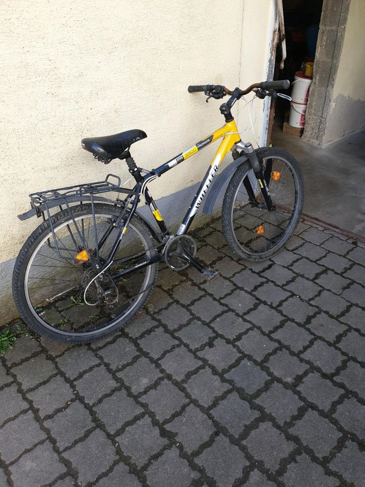 Wheeler Fahrrad 26 zoll in Damscheid