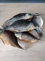 Karausche Fisch ausgenommen gedörrt und getrocknet Bad Doberan - Landkreis - Neubuckow Vorschau