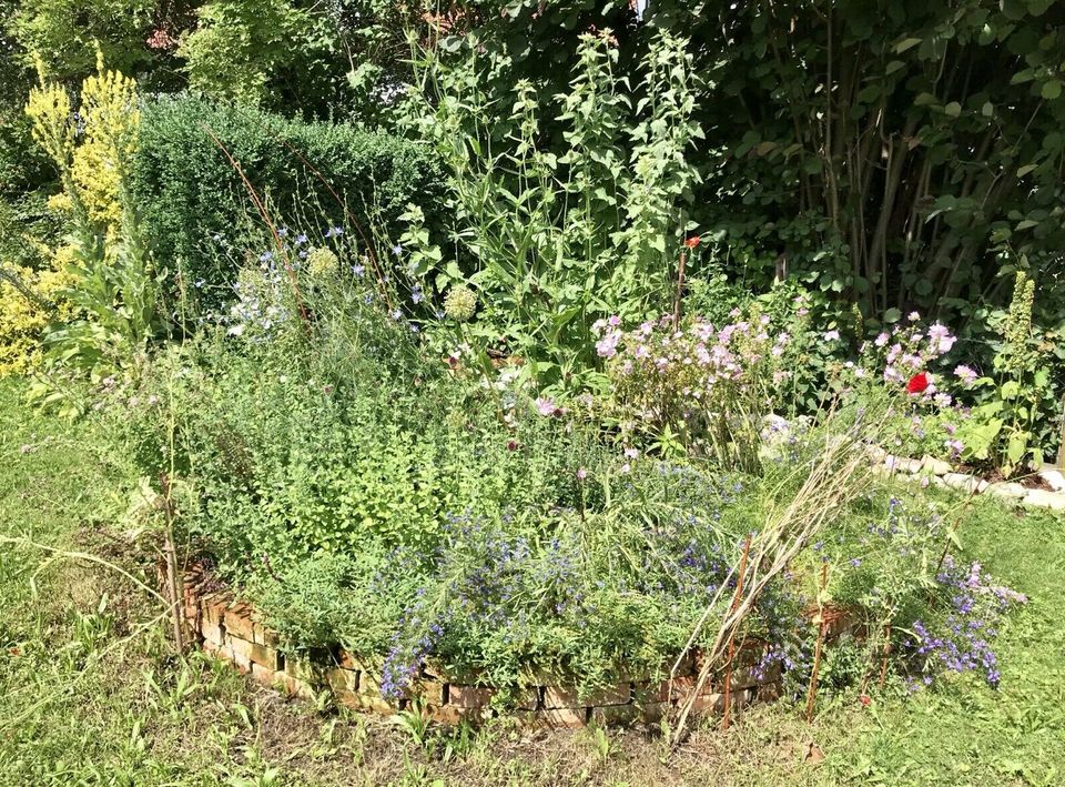 Wildstaudenbeet Nützlinge Bienen Hummeln Schmetterlinge Garten in Schwenningen