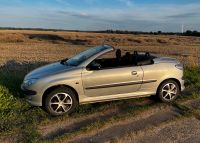 Peugeot 206  Cabrio Allwetter Reifen / Ölwechsel / Alarmanlage Mecklenburg-Vorpommern - Greifswald Vorschau