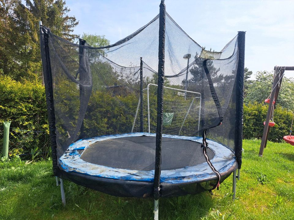 Trampolin 2,50m in Mechernich