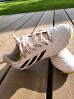Kinderfussball Schuhe Größe 33 Adidas Copa Niedersachsen - Laatzen Vorschau