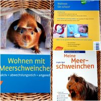 ❤ Wohnen mit Meerschweinchen ❤ Berlin - Köpenick Vorschau