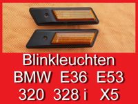❌ Blinker Zusatzblinker seitlich original BMW E36 328i X5 E53 320 Bayern - Bernhardswald Vorschau