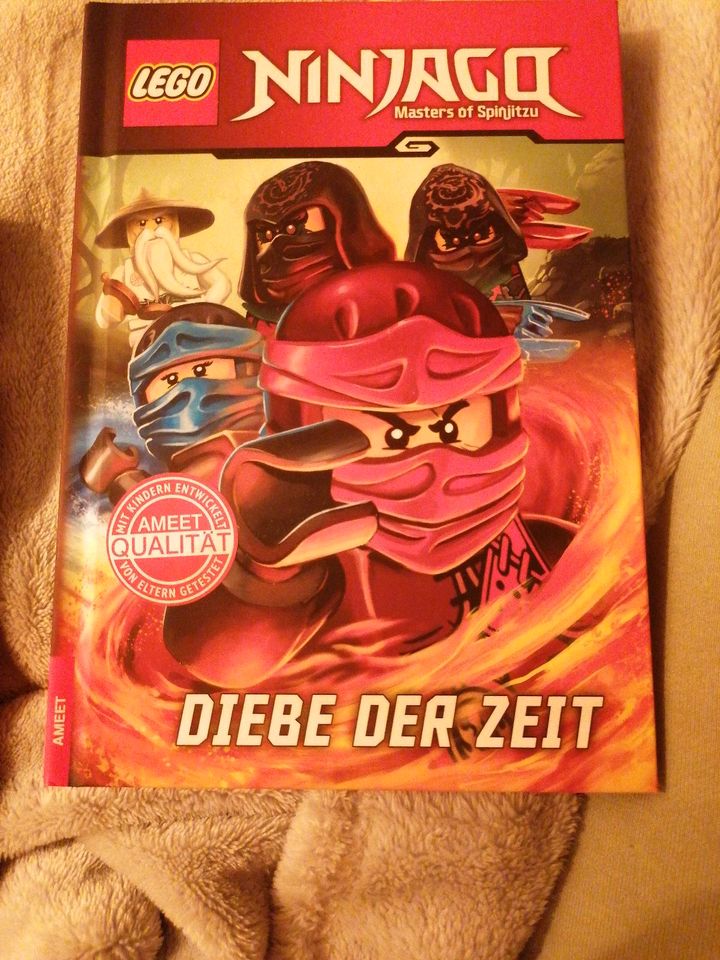 6 Lego Ninjago Bücher in Mönkeberg