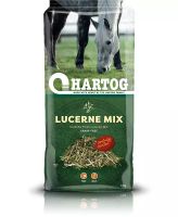 Hartog Luzerne Mix,Gras Mix,Senior Niedersachsen - Rhauderfehn Vorschau