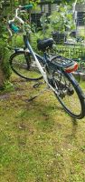 Fahrrad gazelle Duisburg - Hamborn Vorschau