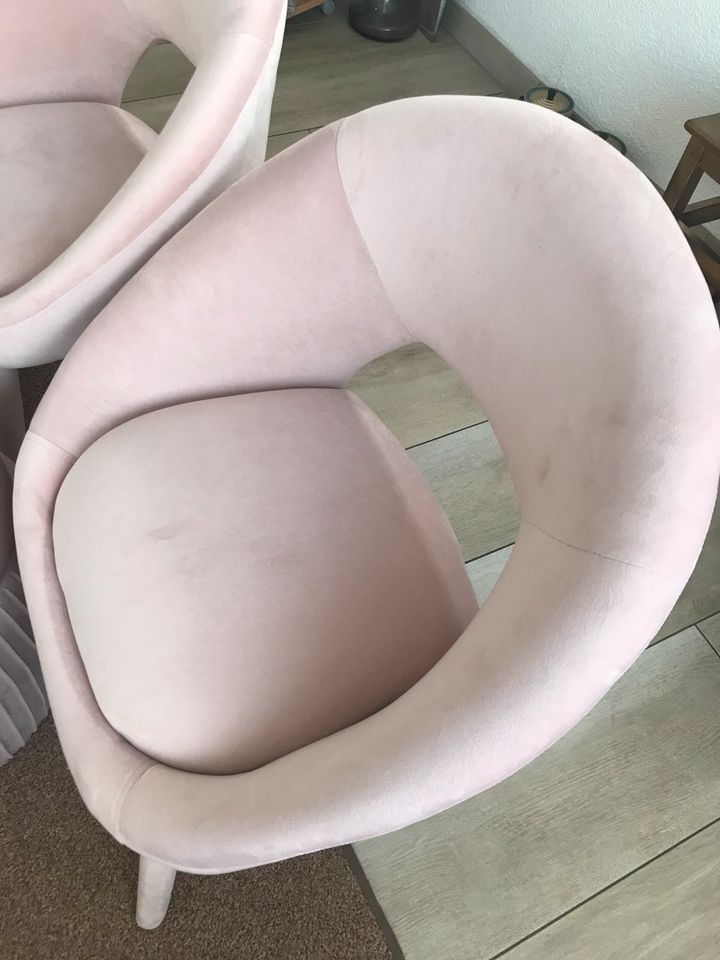 Samt-Rosa Stühle  // Hocker neu 150€ in Lollar