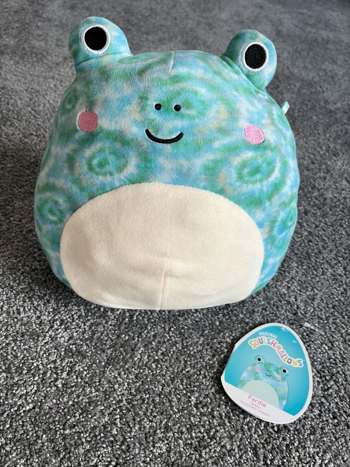 Squishmallows Ferdie in Falkensee