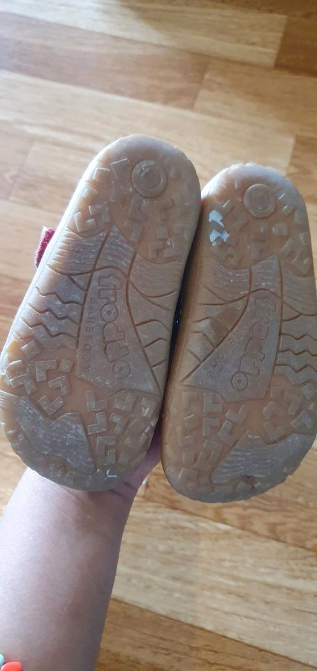 Barfußschuhe Barfussschuhe Sandalen von froddo in 23 in Aalen