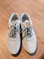 Napapijri Sneaker Schuhe Gr. 39 neu OVP grau Bayern - Hohenkammer Vorschau