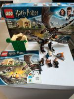 Lego 75946 Harry Potter Ungarischer Hornschwanz Nordrhein-Westfalen - Korschenbroich Vorschau