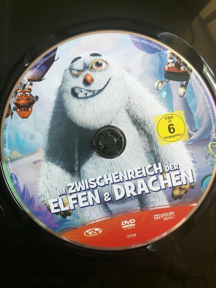 DVD/Im Zwischenreich der Elfen und Drachen in Saarbrücken