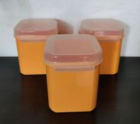 3er Pack Bellevuedosen Tupperware Brandenburg - Petershagen Vorschau