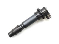 Zündspule Kerzenstecker Zündmodul Triumph Tiger 1050 Nordrhein-Westfalen - Bad Salzuflen Vorschau