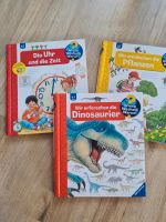 Kinder Bücher Sachsen-Anhalt - Köthen (Anhalt) Vorschau