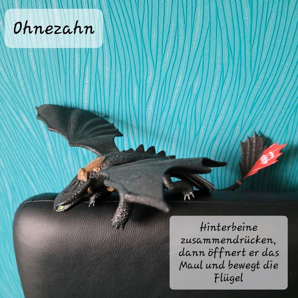 Dragons Drachen Sammelauflösung in Artern/Unstrut