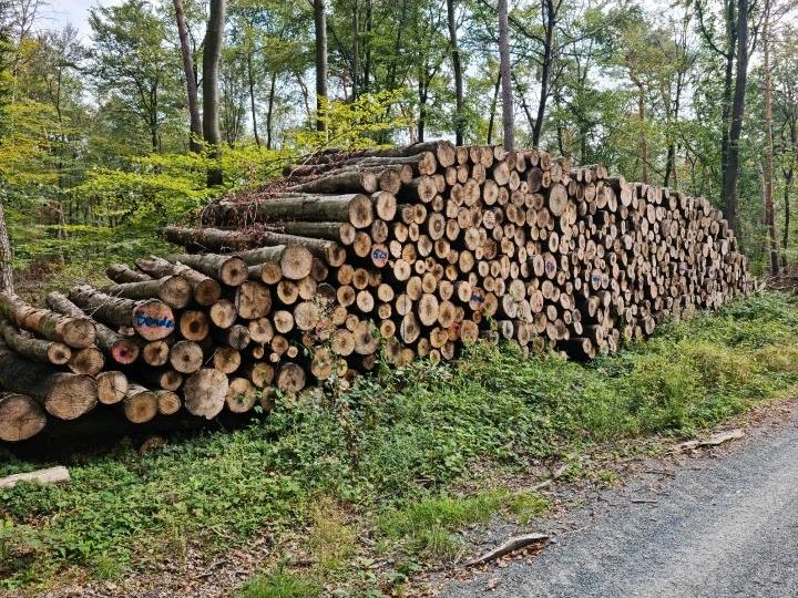 Stammholz Buche Brennholz ■Sonderposten■ inkl Lieferung frei Hof in Aschaffenburg