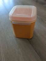 Tupperware Bellevue 1,2 l Aufbewahrungsbox Bayern - Markt Rettenbach Vorschau