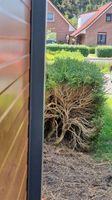 Hecke gerodet? Massiver Sichtschutzzaun mit LEDs - Alu - HE Nordrhein-Westfalen - Schloß Holte-Stukenbrock Vorschau